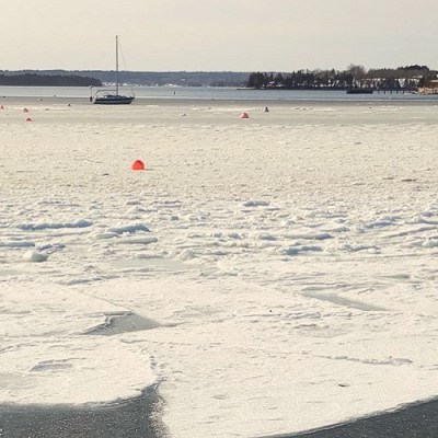 Quoi de neuf depuis le mois de&nbsp;janvier?